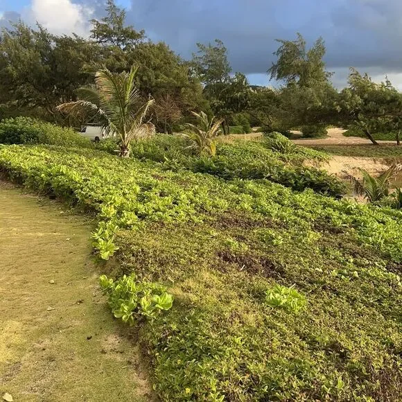 The Poshalots live listing! - Picture 5 of 7